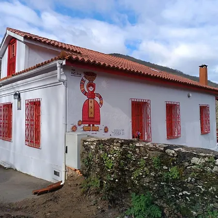 O Salgueiral * 卡斯特罗卡尔德拉斯