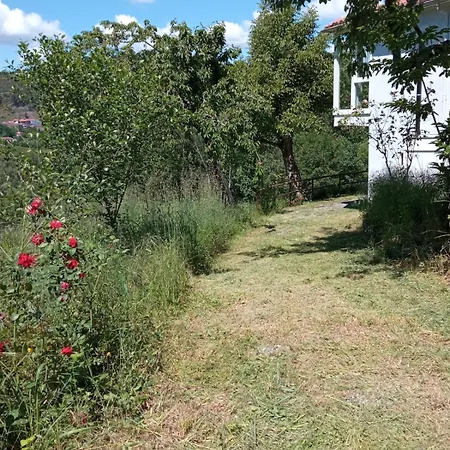 Holiday home O Salgueiral