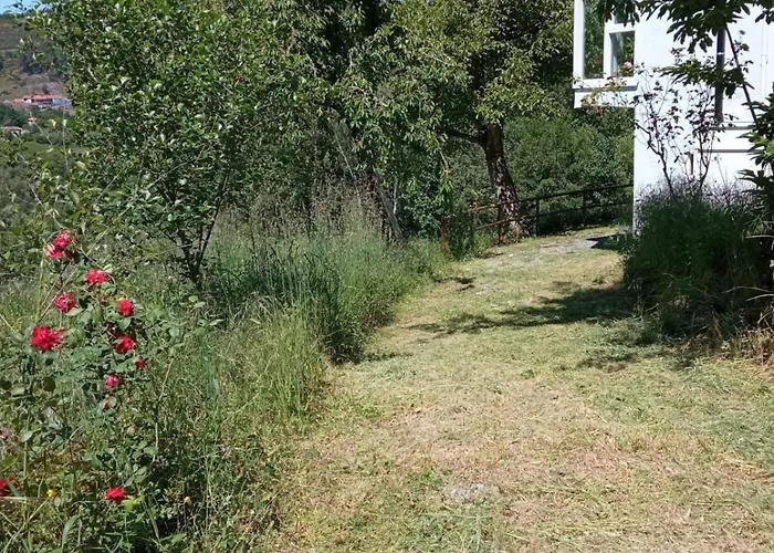 Hébergement de vacances O Salgueiral